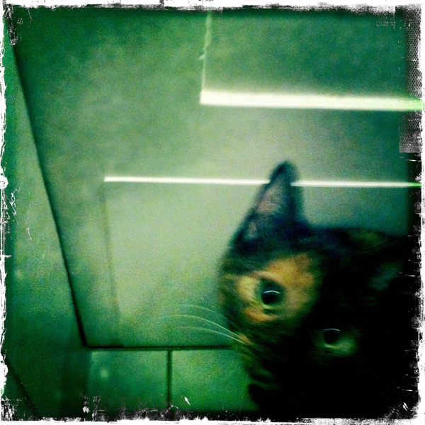 Hip 330466816.759010