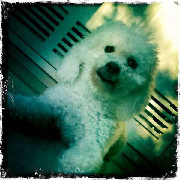 Hip 332193867.335585