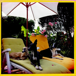 Hip 334852907.896482