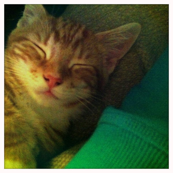 Hip 335393970.709120