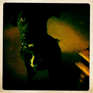 Hip 335393237.186158