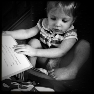 Hip 335393925.650978