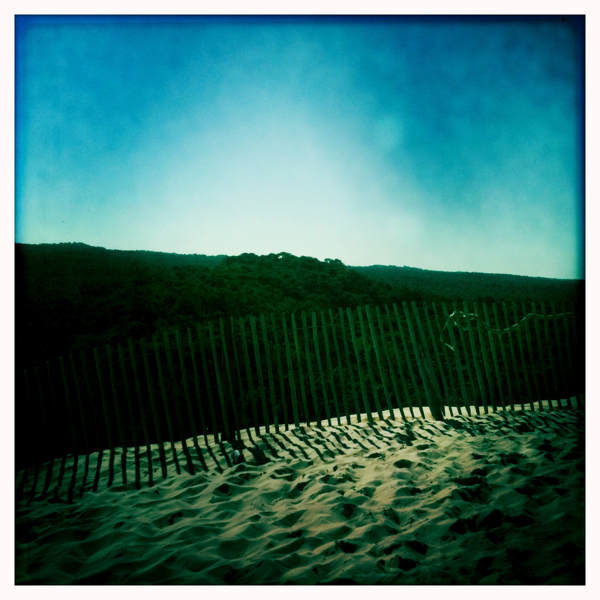 Hip 334657908.540306