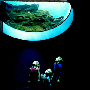 Hip 334504174.982938