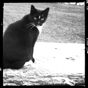 Hip 332641490.404247