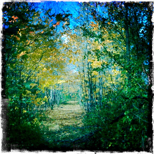 Hip 309117742.515516