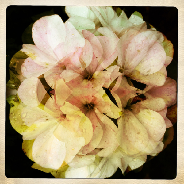 Hip 329835303.550239