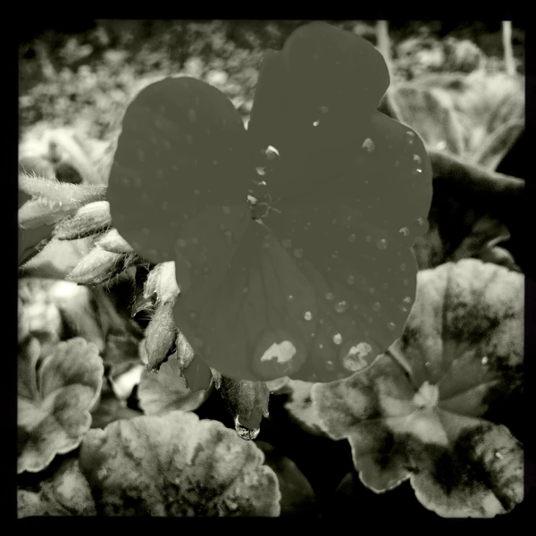 Hip 328464716.215216