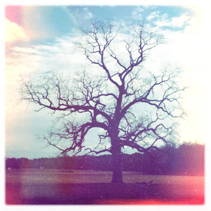 Hip 318025131.357024