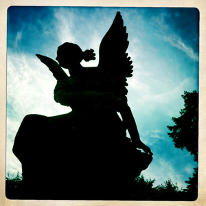 Hip 335368870.556341