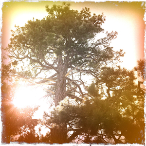 Hip 335397940.184222