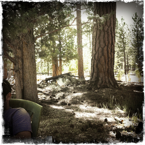 Hip 335397968.065035