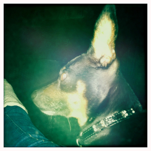 Hip 335399018.750672