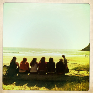 Hip 330046446.541030