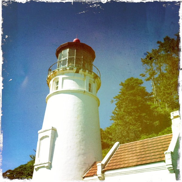 Hip 330044763.349421