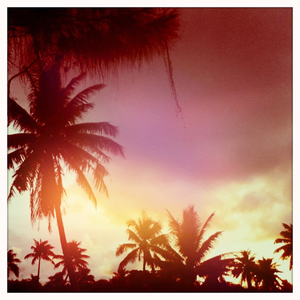 Hip 335176761.537763