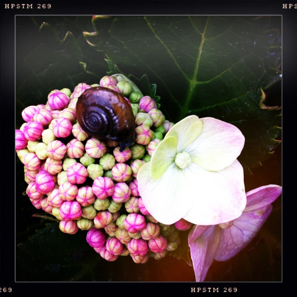 Hip 314143994.504856