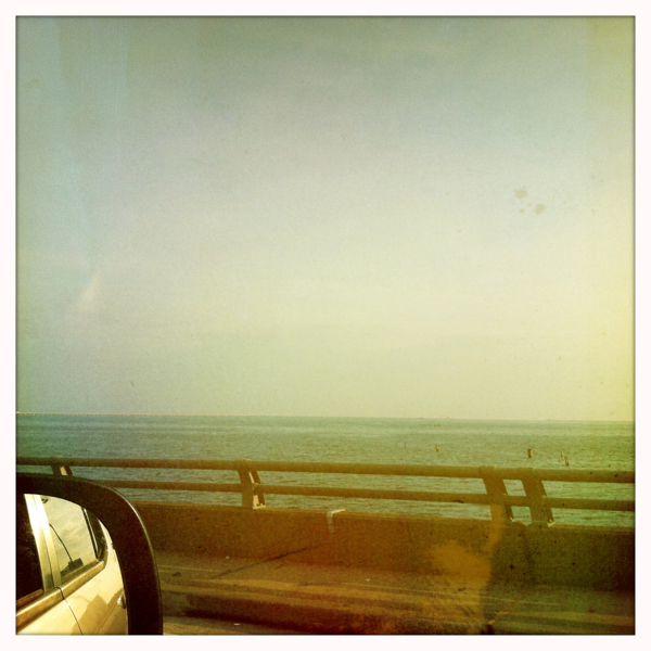 Hip 330779745.264898