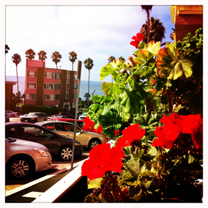 Hip 335401902.096706