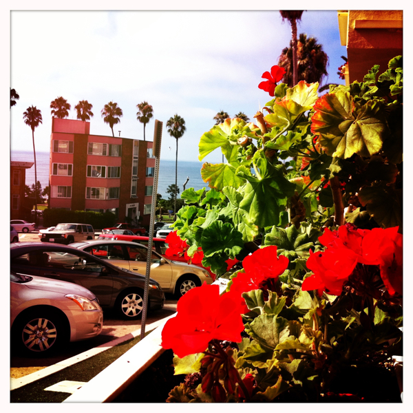 Hip 335401902.096706