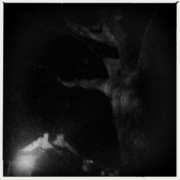 Hip 332597279.342188