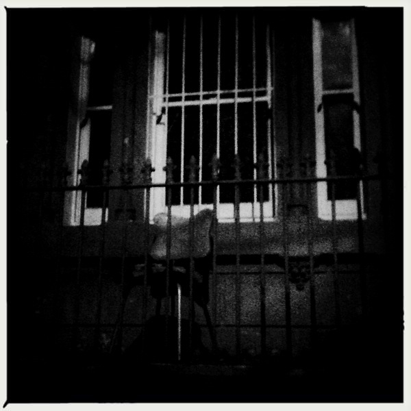 Hip 332597236.901089