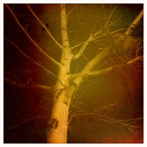 Hip 332597789.700592