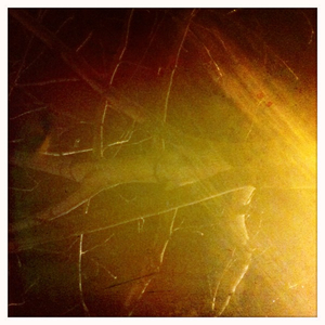 Hip 332597807.959213