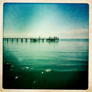 Hip 334986370.860784