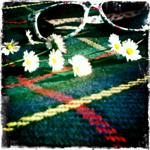 Hip 332786577.137463