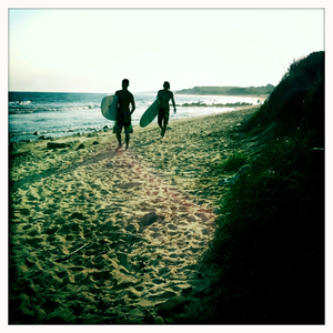 Hip 335397955.174637