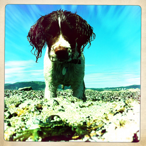 Hip 333370376.129001