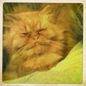 Hip 304812348.122043