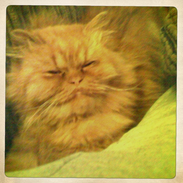 Hip 304812348.122043