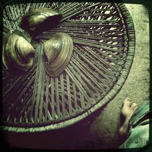 Hip 335405037.115849