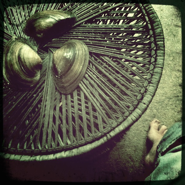 Hip 335405037.115849