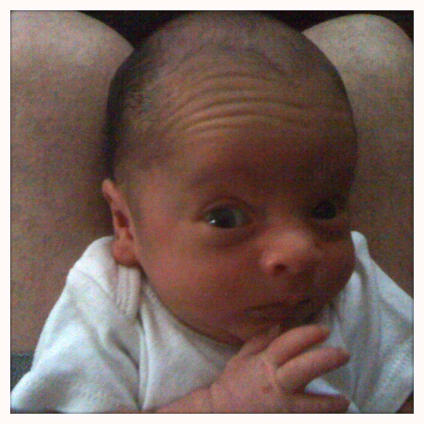 Hip 335406179.970593