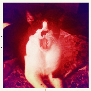 Hip 335348690.992319