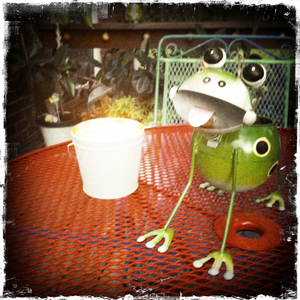 Hip 335407446.945987