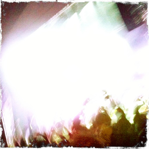 Hip 334963373.449504