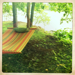 Hip 335394692.443021