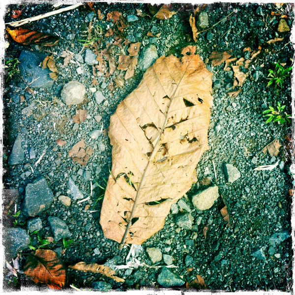 Hip 335390335.919536