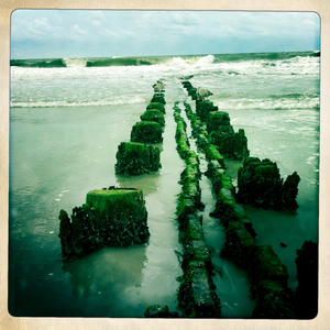 Hip 335040691.188026