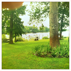 Hip 335395245.806331