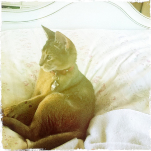 Hip 335409224.669671