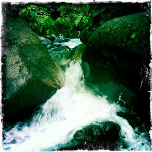 Hip 335393728.361005