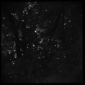 Hip 331356328.013141