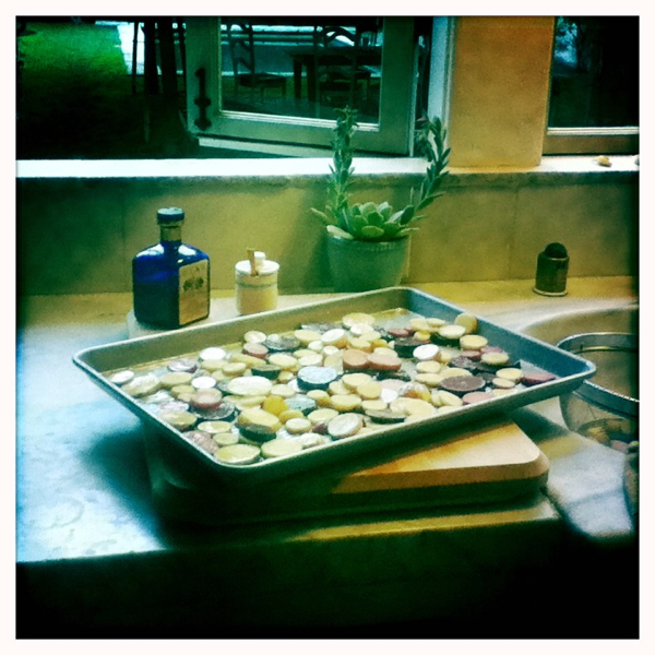 Hip 335325903.346436