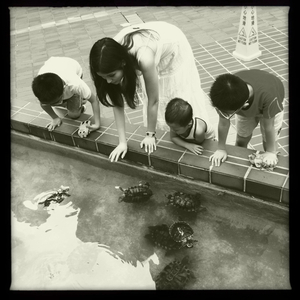 Hip 334474919.509171