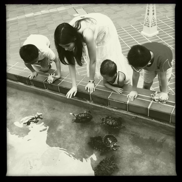 Hip 334474919.509171